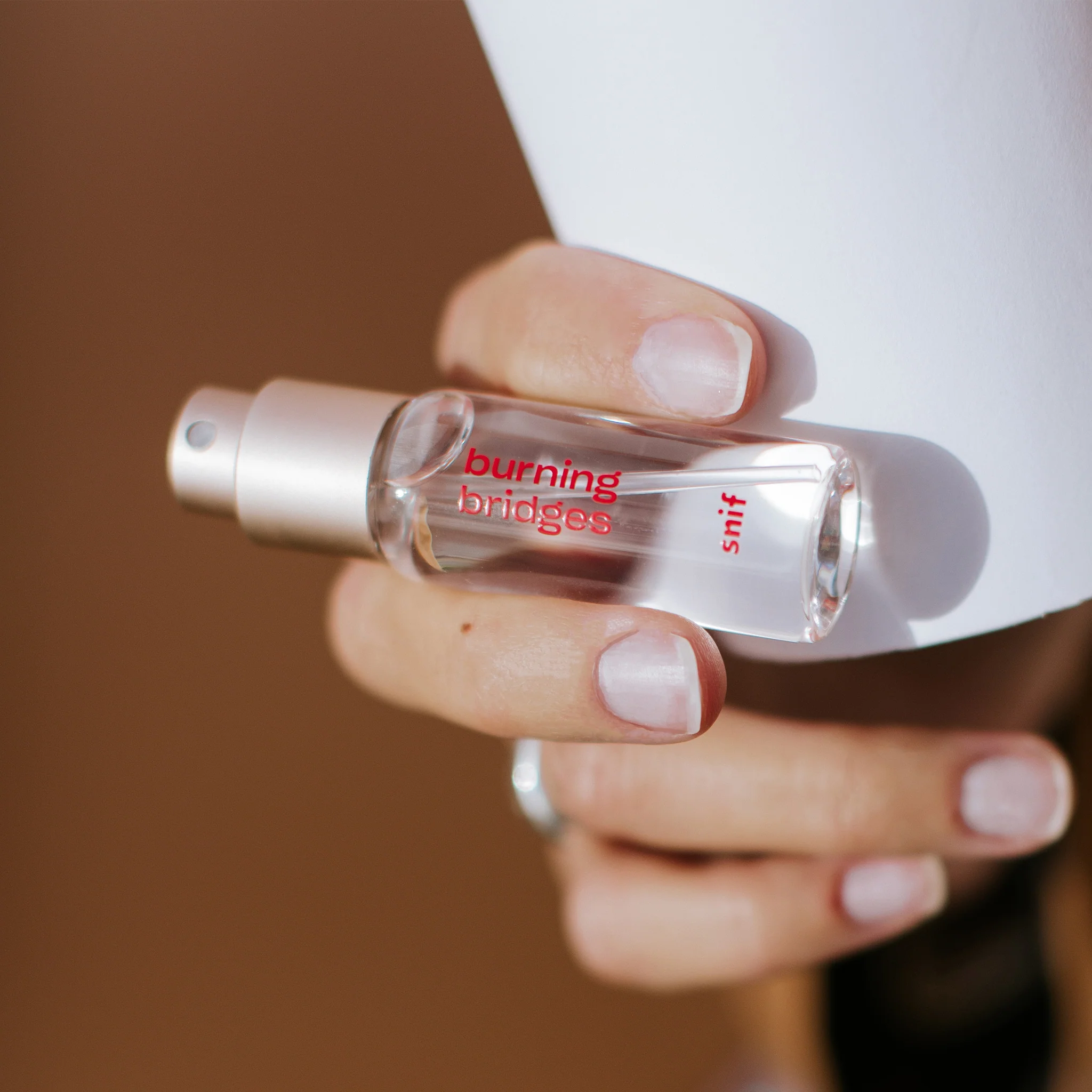 Burning Bridges - Image 13