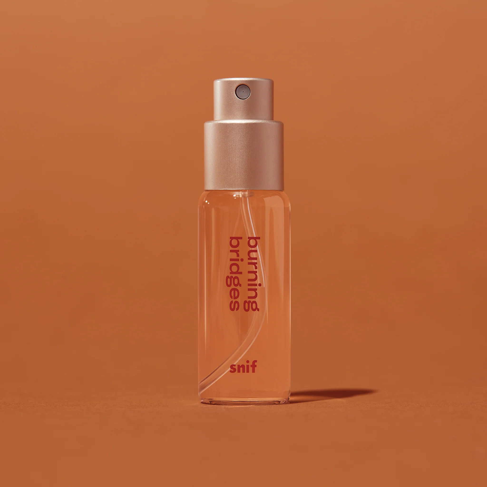 Burning Bridges - Image 16