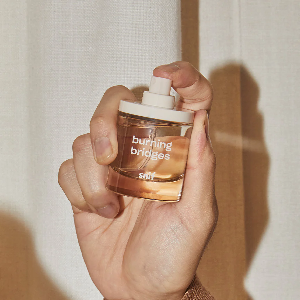 Burning Bridges - Image 3