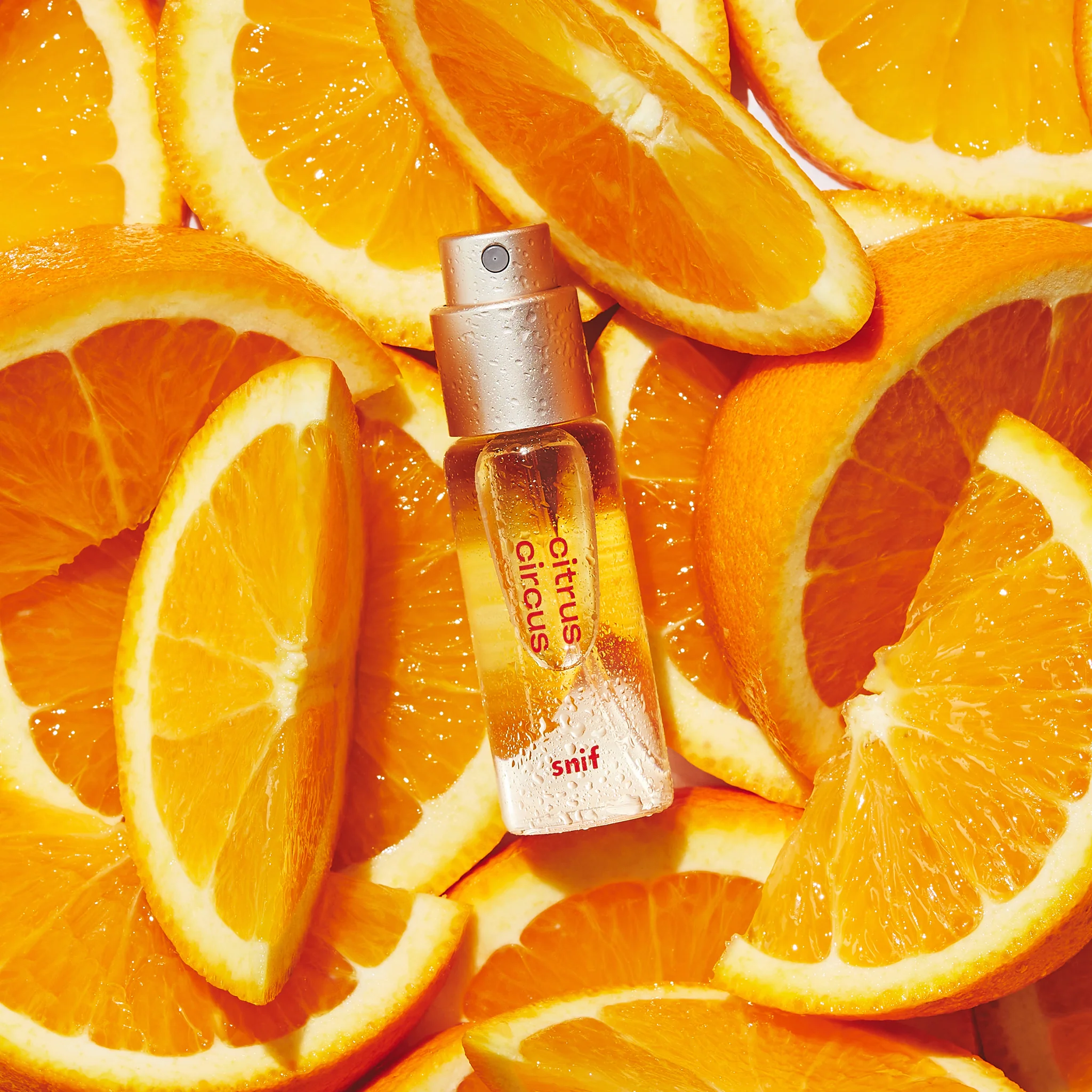 Citrus Circus - Image 10