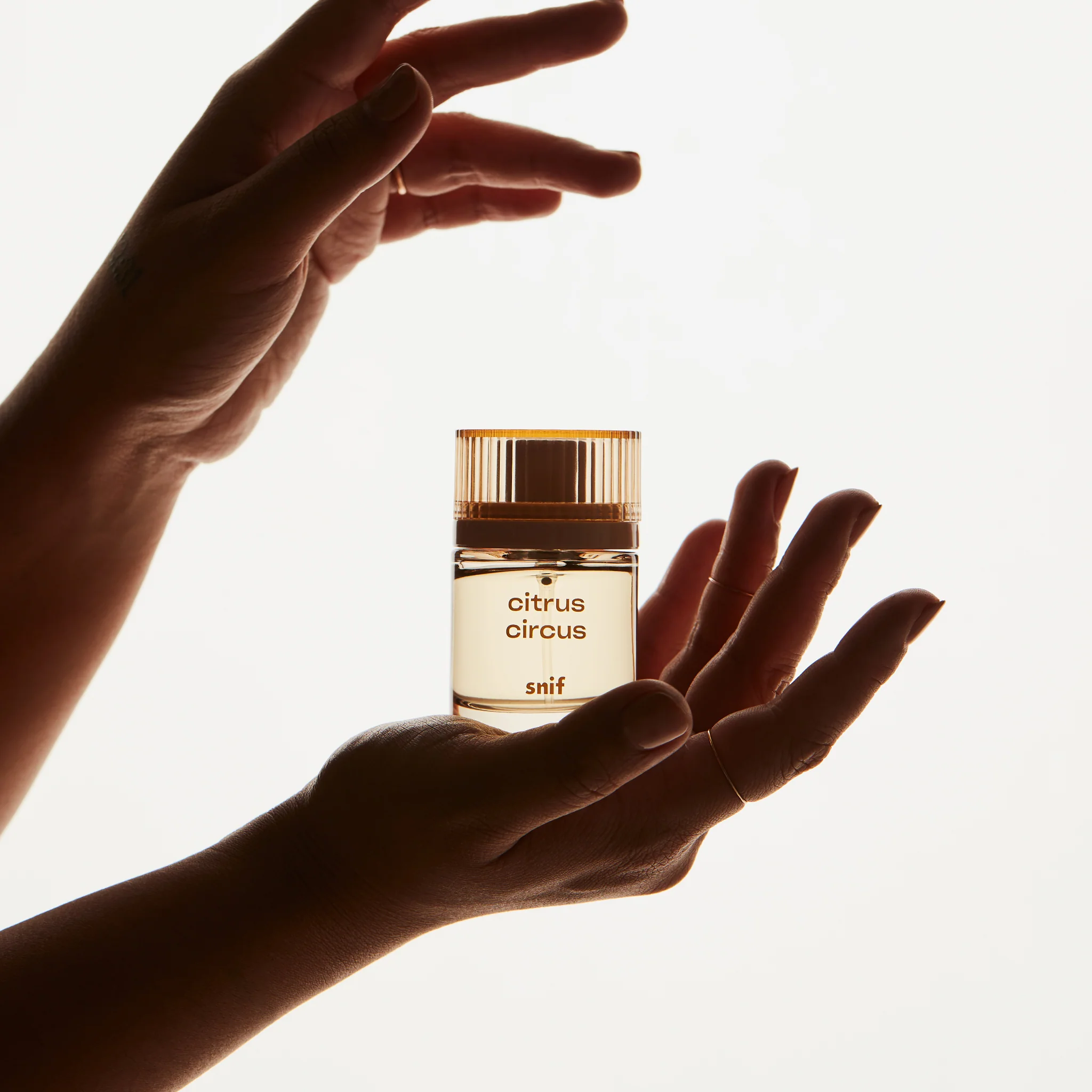 Citrus Circus - Image 4