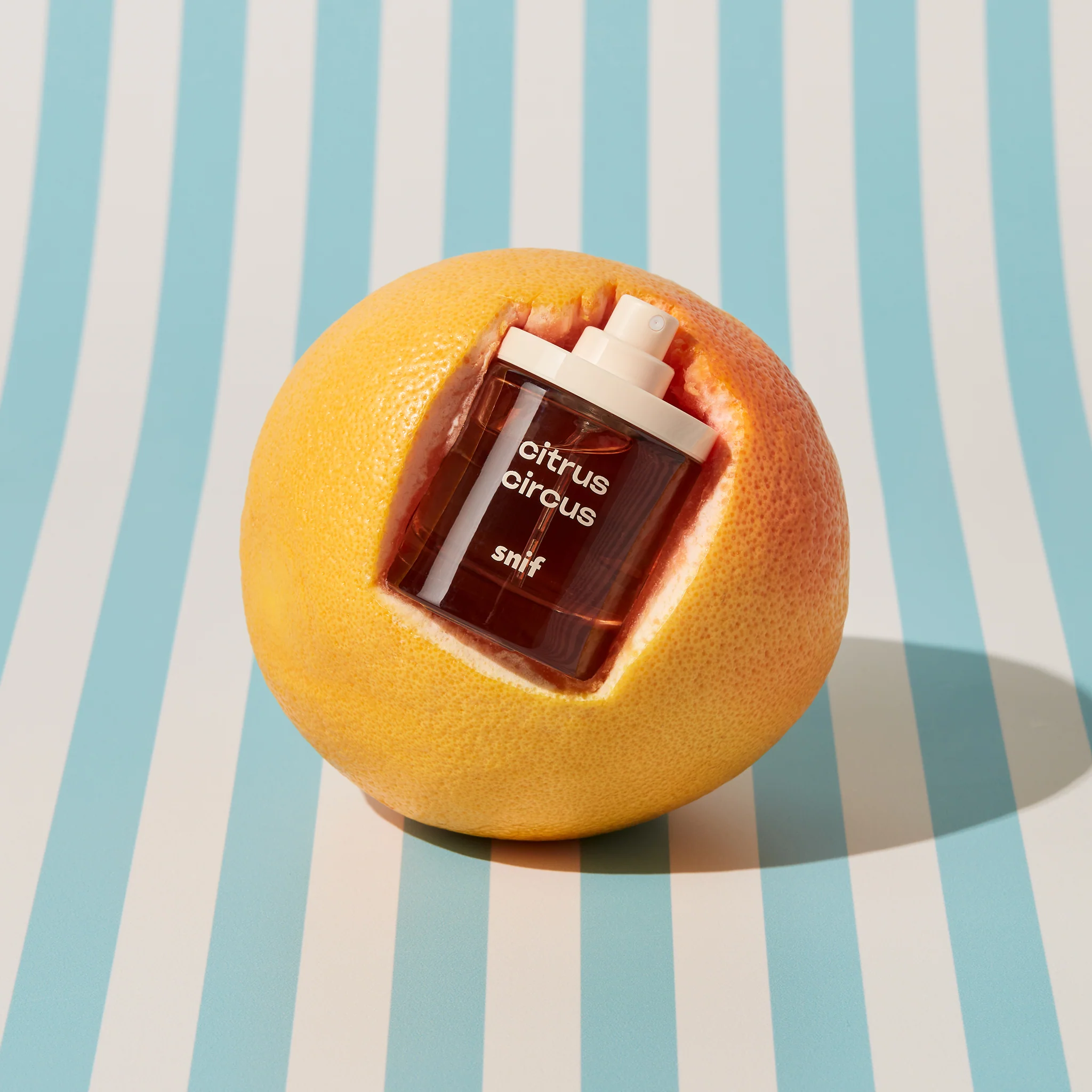 Citrus Circus - Image 9