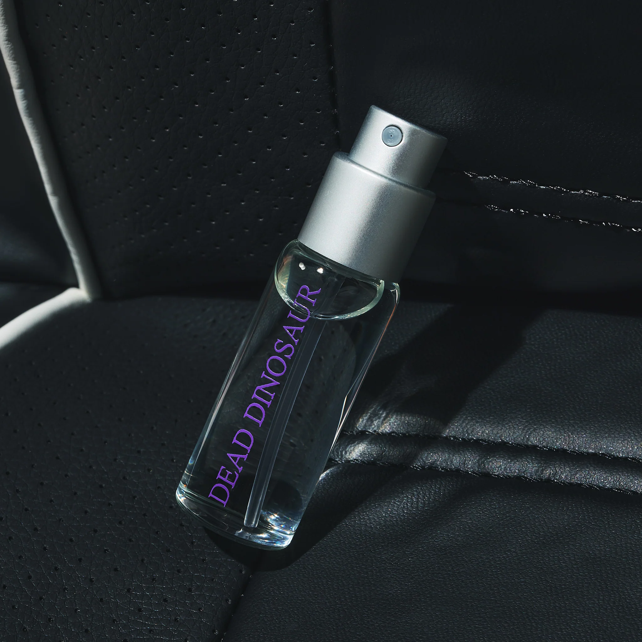 Dead Dinosaur - Image 10