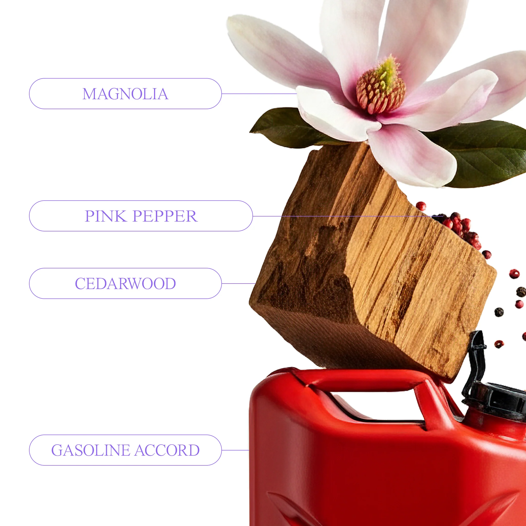 Dead Dinosaur - Image 13