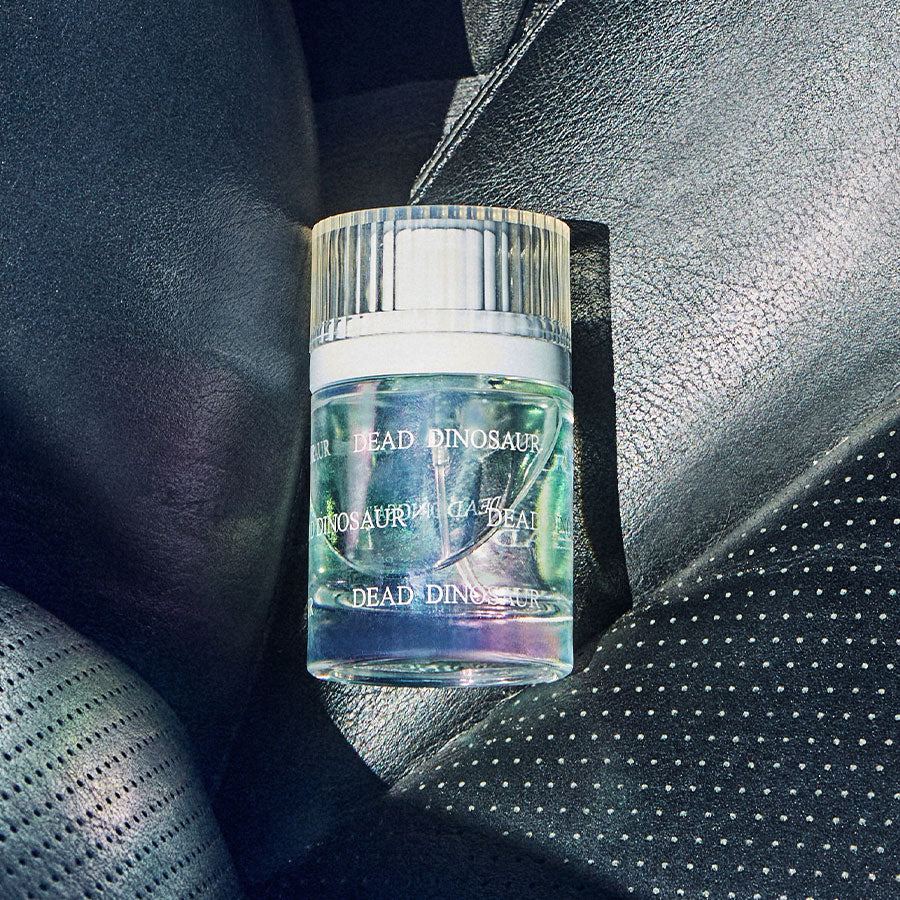 Dead Dinosaur - Image 6