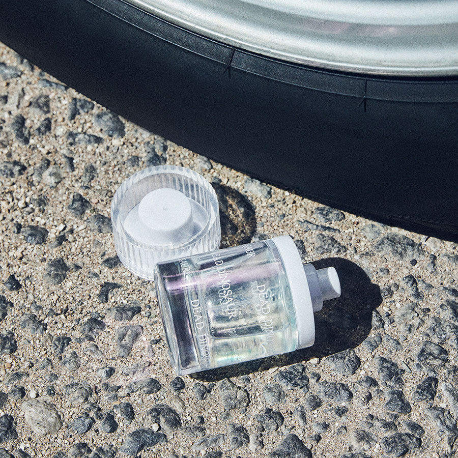 Dead Dinosaur - Image 7