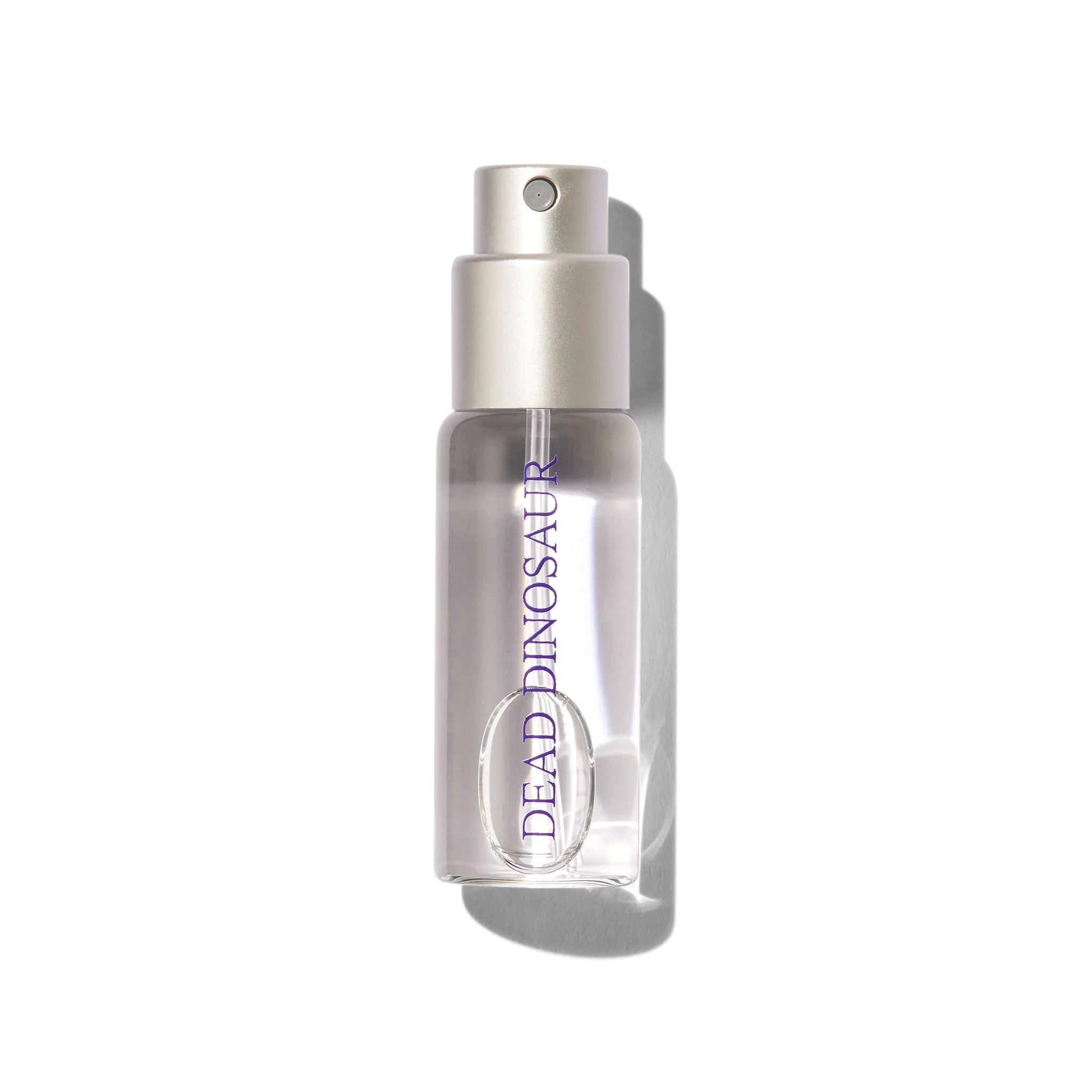 Dead Dinosaur - Image 8