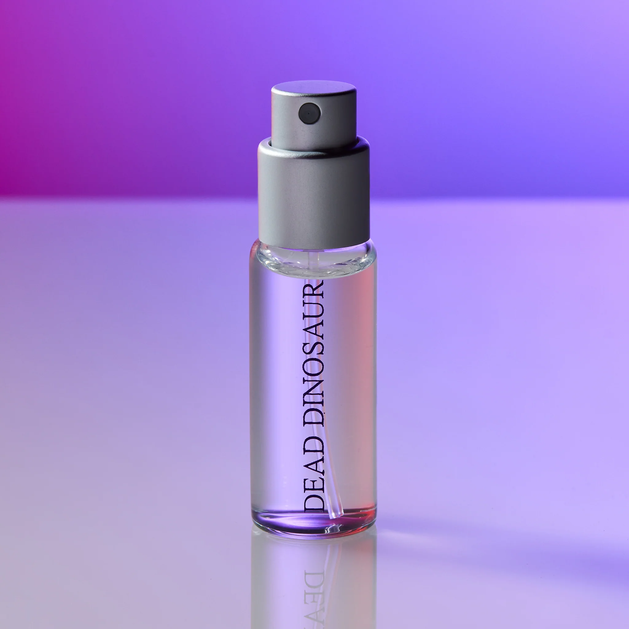 Dead Dinosaur - Image 9