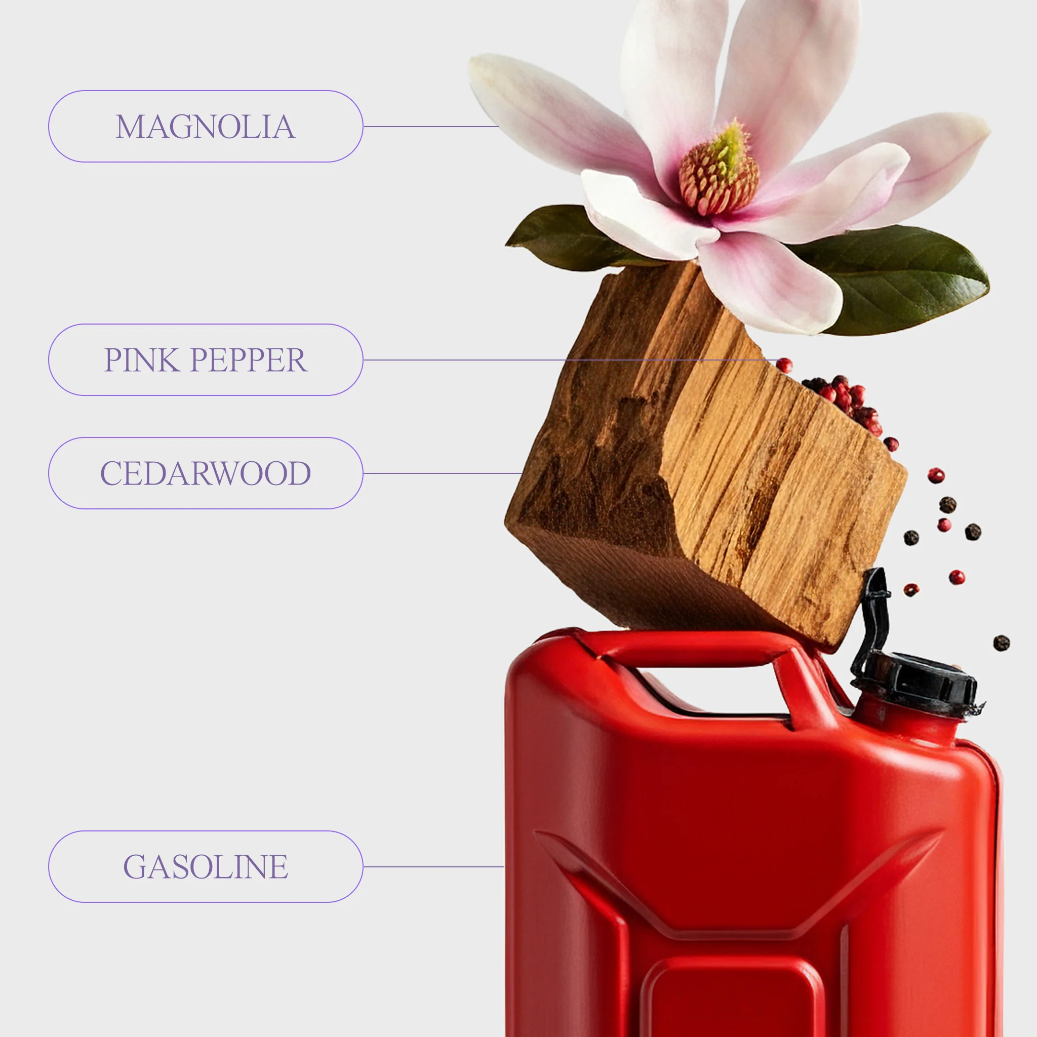 DEAD DINOSAUR - GASOLINE FRAGRANCE - Image 5