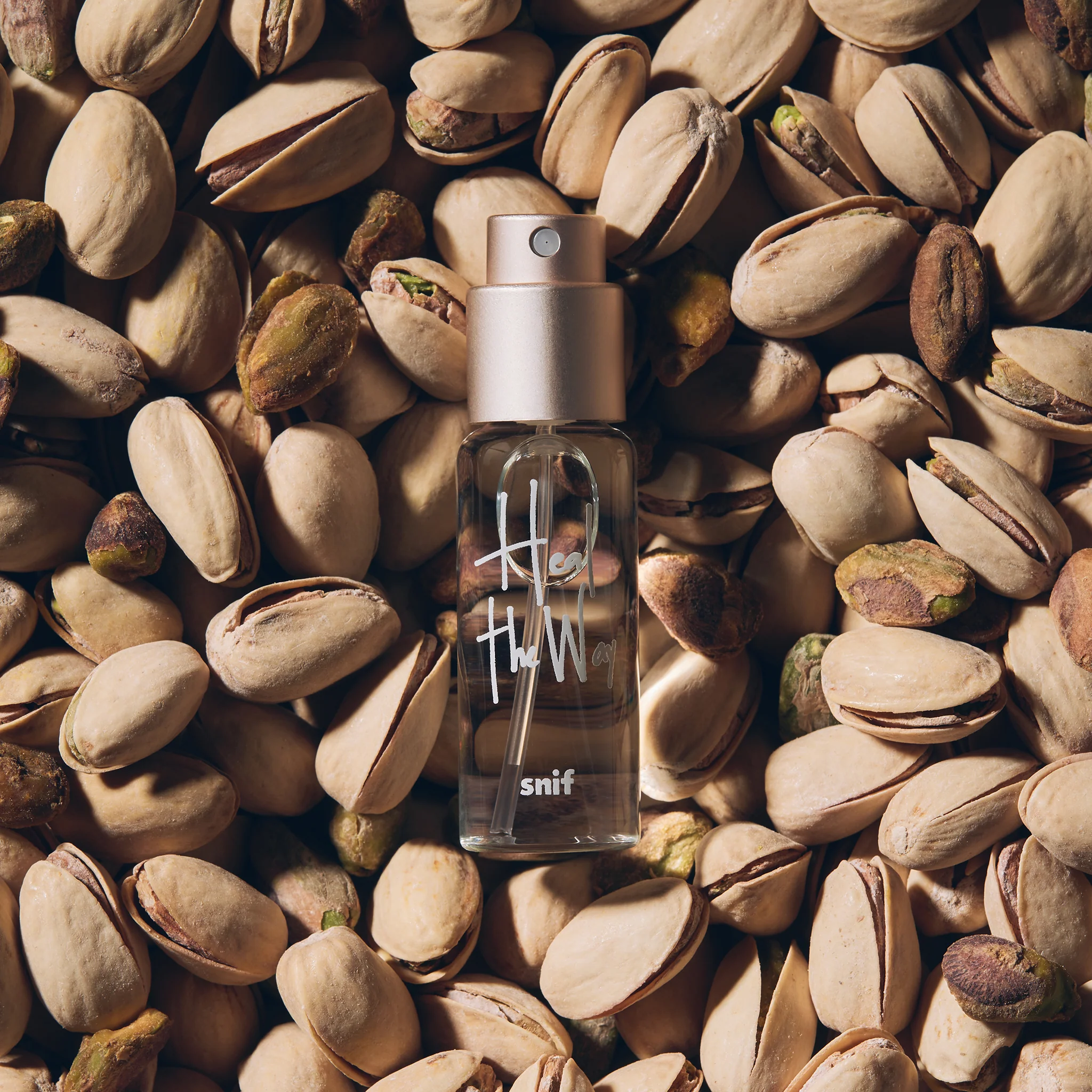 Heal the Way - Image 11