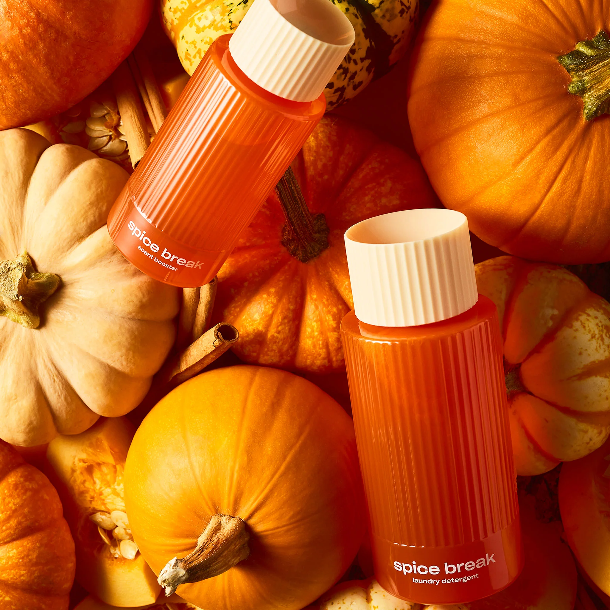 Laundry Starter Pack - Image 21