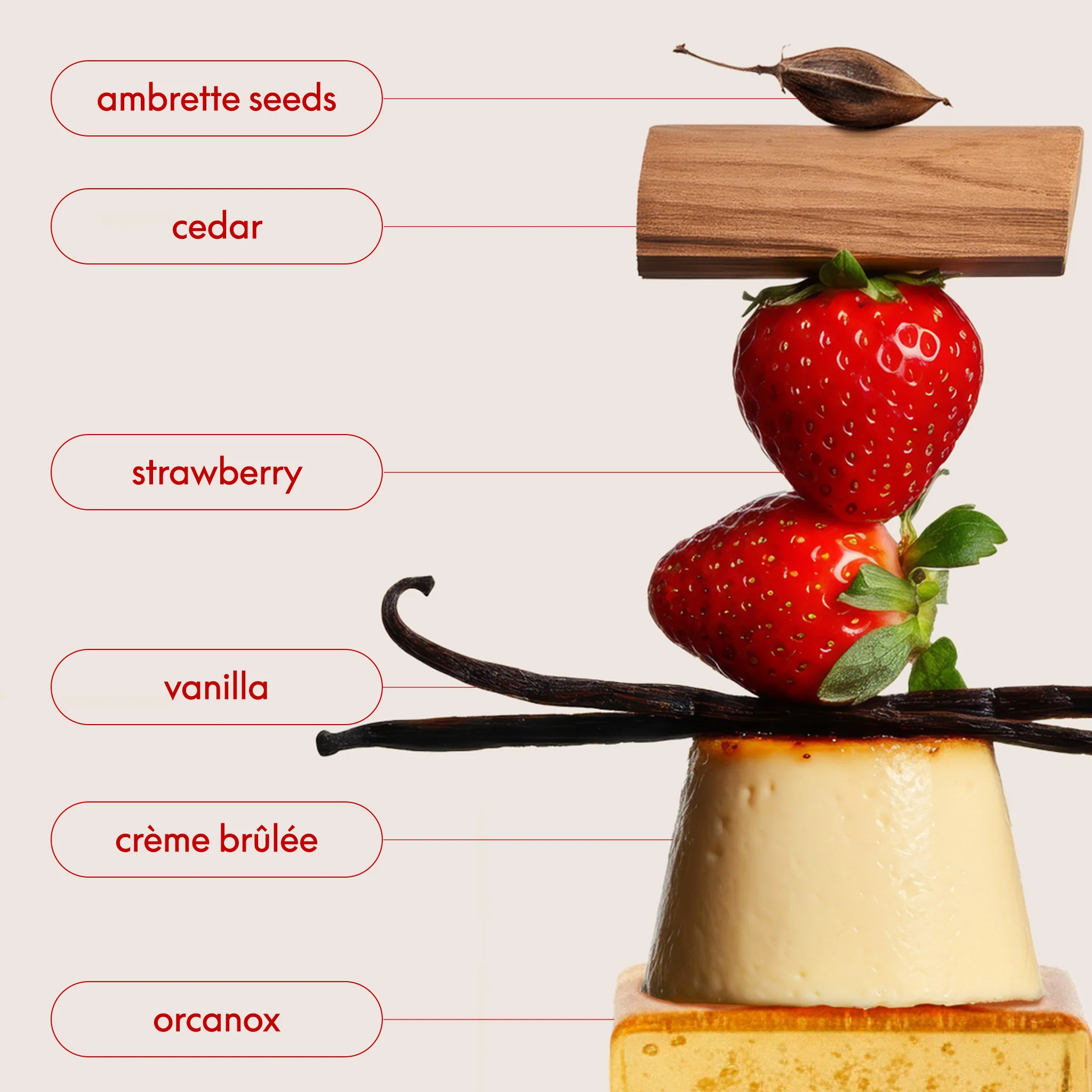 ROOM FOR DESSERT - STRAWBERRY CRÈME BRÛLÉE COLOGNE - Image 4