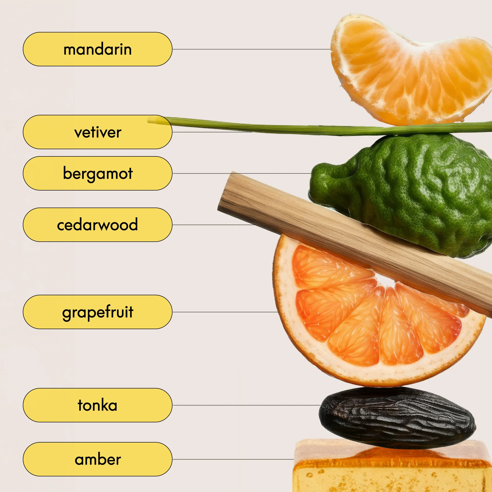 SUNNY IS A FEELING - WOODY CITRUS FRAGRANCE - Image 4