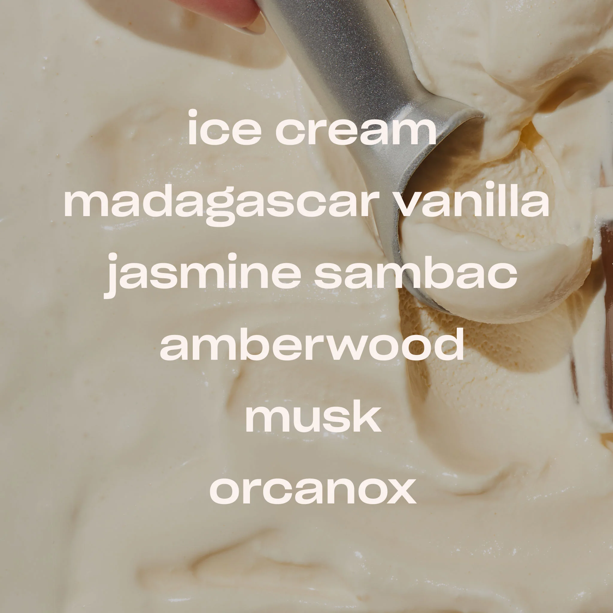 VANILLA VICE - 30 ML FRAGRANCE - Image 4