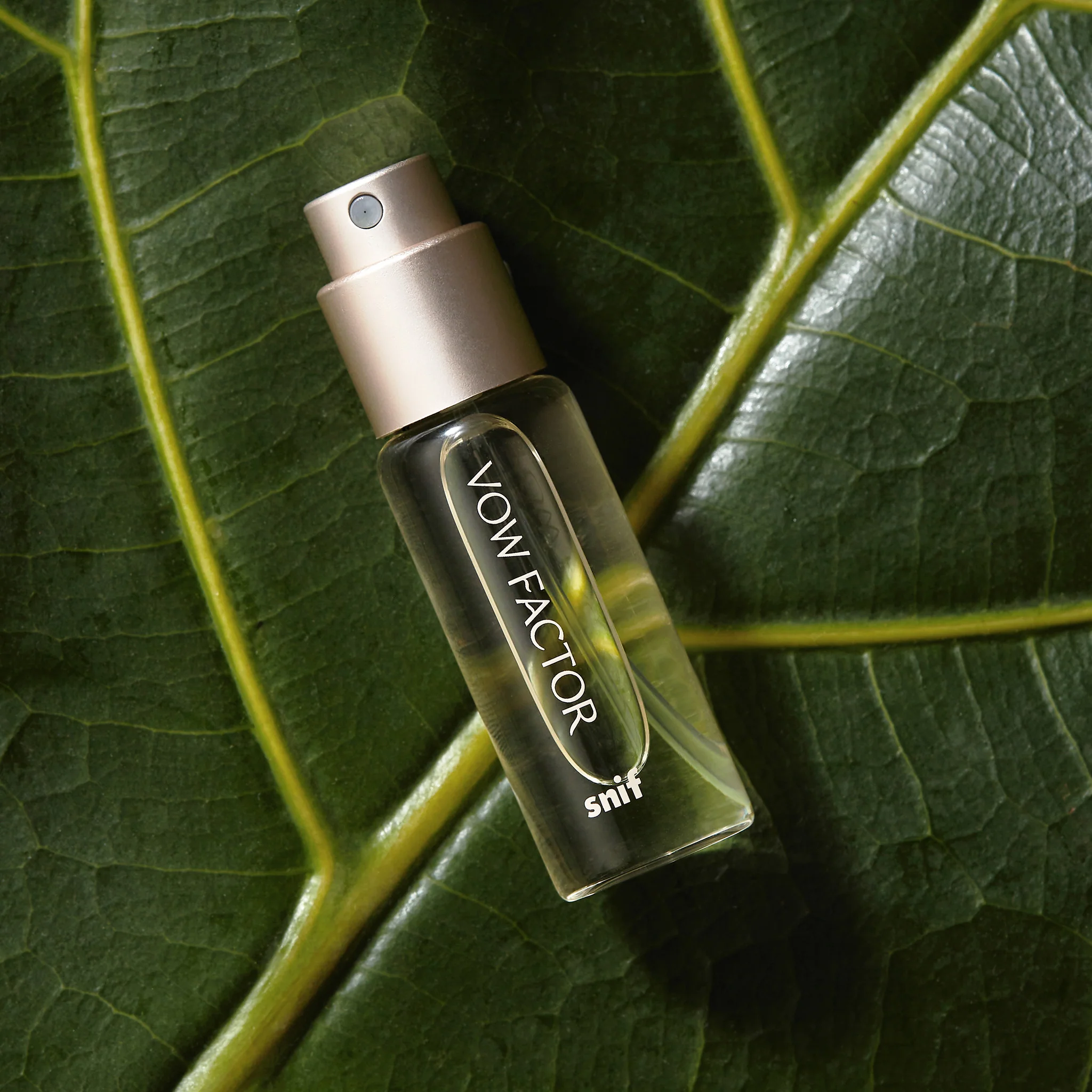 Vow Factor - Image 12